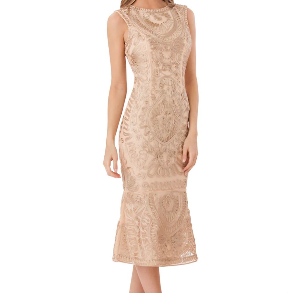 JS Collections Soutache Midi Dress with Flounce Hem In Chu Size 12 petite